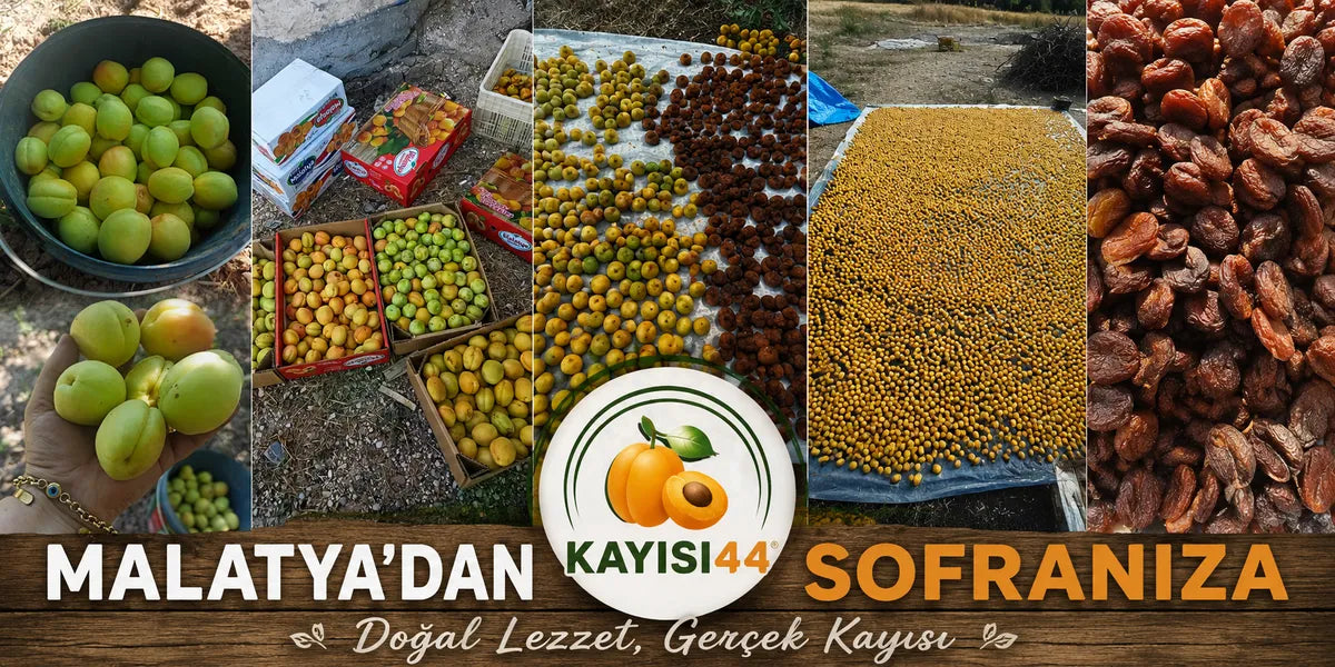 Malatya'nın Bereketli Bahçelerinden Gelen Lezzet